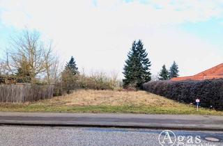 Grundstück zu kaufen in 14793 Ziesar, Attraktives Grundstück ohne Bauträgerbindung in Ziesar