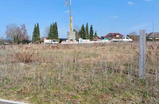 Grundstück zu kaufen in Lavendelstr, 95473 Creußen, Top Preis!! 4 Baugrundstücke in Creußen, sonnige, Top Infrastruktur im Ort