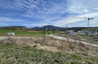 Grundstück zu kaufen in 79379 Müllheim, VIEL PLATZ FÜR IHRE TRÄUME - NÄHE KLINIKUM