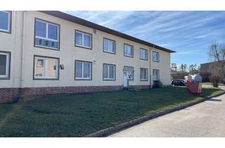 Büro zu mieten in Mühlberger Straße 37, 04874 Belgern, Büroflächen zwischen 14 m² und 750 m² in 04874 Belgern-Schildau zu vermieten