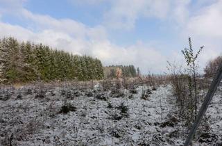 Gewerbeimmobilie kaufen in 83530 Schnaitsee, Gut erreichbares Ackergrundstück in attraktiver Lage – ca. 6.600 m² in Schnaitsee