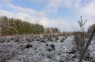 Gewerbeimmobilie kaufen in 83530 Schnaitsee, Gut erreichbares Ackergrundstück in attraktiver Lage – ca. 6.600 m² in Schnaitsee