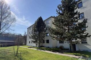 Wohnung kaufen in 79793 Wutöschingen, Haus im Haus - 4 1/2 Zimmer-Wohnung mit Balkon
