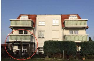 Wohnung mieten in Birkholzer Straße, 16341 Panketal, Renovierte 3-Zimmer-Wohnung mit Balkon in Panketal