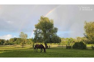Haus kaufen in 16833 Fehrbellin, Familientraum mit Wellnessfaktor auf Pferdehof! Kamin • Sauna • Jacuzzi • Pool • Gästehaus