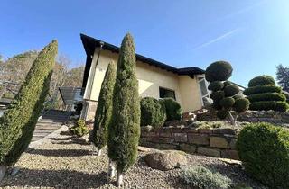 Einfamilienhaus kaufen in 63906 Erlenbach, Wohnen inmitten der Natur–Hochwertiges Einfamilienhaus mit großem Grundstück in ruhiger Waldrandlage