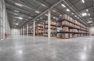 Gewerbeimmobilie mieten in 40589 Holthausen, Düsseldorf-Süd | flexible Andienung | teilbar ab 1.200m² | Q4 2026