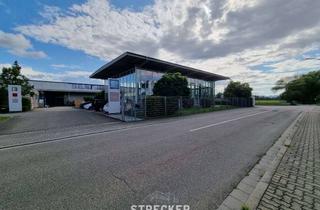 Gewerbeimmobilie kaufen in 76879 Bornheim, 8819m² großes Gewerbegrundstück mit 3 Mietern in verkehrsgünstiger Lage in Bornheim/Pfalz