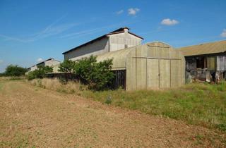 Gewerbeimmobilie kaufen in 68723 Plankstadt, Biete Halle zum Selbstabbau