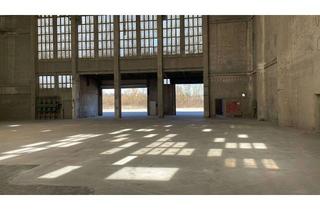 Gewerbeimmobilie mieten in Mühlberger Straße 37, 04874 Belgern, Lagerhalle I Hochregallager I Produktion mit 14m Deckenhöhe in 04874 Belgern-Schildau