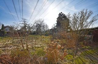 Grundstück zu kaufen in Dorfstraße, 22113 Oststeinbek, Nur einen Steinwurf von Hamburg entfernt: sonniges Grundstück mit ca. 972 m² Fläche gen Süden