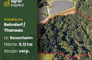 Grundstück zu kaufen in 83101 Rohrdorf, Wald. Wert. Wachstum. – Ihr Investment in eine stabile Zukunft mit 8,1 ha und viel Potenzial