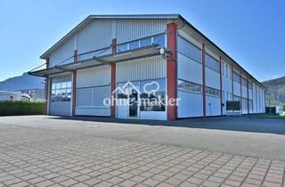 Gewerbeimmobilie kaufen in 79713 Bad Säckingen, Top Gepflegte Gewerbeimmobile mit großem Gewerbegrundstück