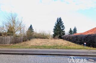 Immobilie kaufen in 14793 Ziesar, Attraktives Grundstück ohne Bauträgerbindung in Ziesar