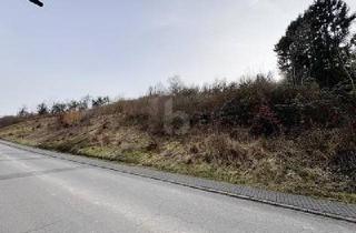 Grundstück zu kaufen in 54298 Welschbillig, Welschbillig - GROßE FLÄCHE MIT POTENZIAL