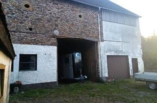 Bauernhaus kaufen in 55767 Brücken, Brücken - Haus mit Scheune, Garagen und OPTIONAL Wiesen - Weideland