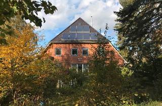 Haus kaufen in 23758 Oldenburg, Oldenburg in Holstein - Resthof in Strandnähe mit 5 Wohneinheiten und arrondierten Wiesen