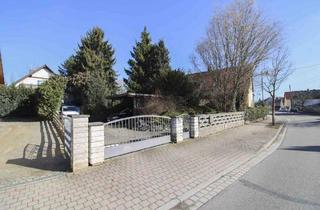 Einfamilienhaus kaufen in 04683 Ammelshain, Ammelshain - Im Sommer am Pool, im Winter am Kamin: Einfamilienhaus mit barrierefreier Einliegerwohnung