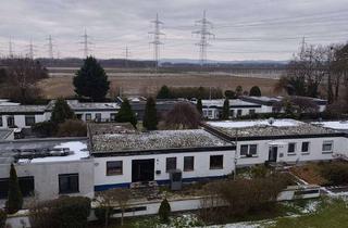 Wohnung mieten in 53340 Meckenheim, Helle Wohnung in Meckenheim