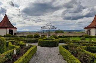 Wohnung mieten in Schloßberg 18, 88499 Riedlingen, Attraktive 3,5-Zimmer Wohnung im 1. OG, frisch saniert in Riedlingen