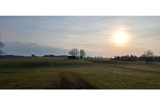 Wohnung mieten in 83623 Dietramszell, Helle 4-Zimmer Erdgeschosswohnung mit Terrasse in Dietramszell