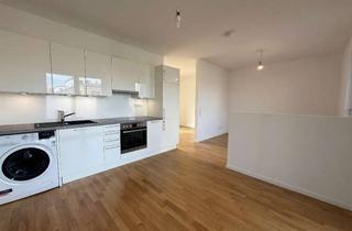 Wohnung mieten in 65795 Hattersheim, Wohnen am Main: Moderne 1,5-Zimmer-Wohnung mit Balkon und EBK