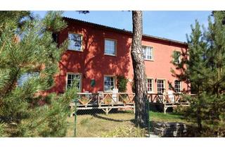 Wohnung mieten in Straße Des Friedens, 14822 Borkheide, 2-Zimmer Wohnung mit großem Gartenanteil an Tierliebhaber gegen Hauswartstelle