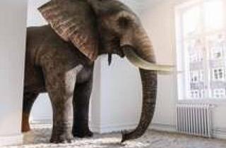 Wohnung mieten in 26721 Stadtzentrum, INNENSTADTLAGE!! Geräumige Wohnung in der Emder Innenstadt zu vermieten