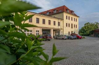 Wohnung mieten in August-Bebel-Str. 15D, 01219 Seevorstadt-Ost/Großer Garten, Große 1-Raumwohnung in Uni-Nähe!