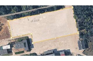 Immobilie mieten in Mühlberger Straße 37, 04874 Belgern, 7.500 m² große Freifläche ABTEILBAR zu vermieten