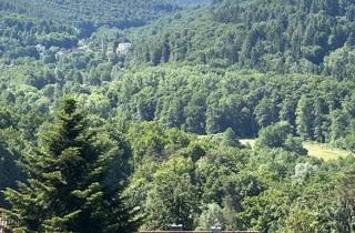 Haus kaufen in 76337 Waldbronn, LAGE, LAGE, LAGE - DHH auf schönem Grundstück mit TraumBLICK ins Albtal in Busenbach