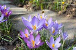 Grundstück zu kaufen in 65549 Limburg, Ihr Rückzugsort am Lahnufer – sonniges Gartengrundstück in Limburg-Au