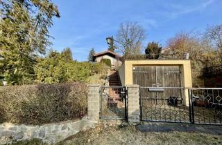 Grundstück zu kaufen in Am Steinberg, 04668 Thümmlitz, Wunderschön gelegenes Wochenendgrundstück mit Bungalow, Pool, Garage & zwei Stellplätzen zum Kauf!