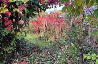 Grundstück zu kaufen in Gartenstraße 26, 16816 Neuruppin, Gartengrundstück ( Rheinsberger Vorstadt) Preis VB