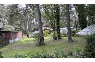 Grundstück zu kaufen in 16515 Oranienburg, Baugrundstück im Grünen mit dem möglichen Lifetime 04 - Großzügiger Familien-Bungalow mit über 110 m