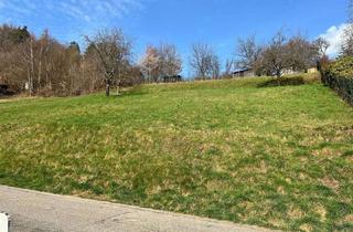 Grundstück zu kaufen in 69250 Schönau, 731 m² großes, vollerschlossenes Grundstück Schönau - ohne Maklerprovision