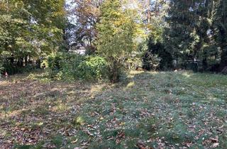 Grundstück zu kaufen in 15370 Petershagen, großzügiges Grundstück in Petershagen-Eggersdorf