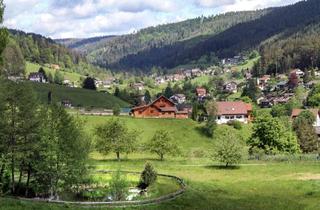 Wohnung kaufen in 72270 Baiersbronn, Schöne Wohnung mit Terasse und TG Stellplatz