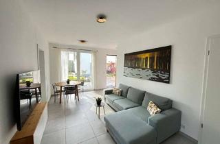 Wohnung mieten in 53578 Windhagen, Terrassenwohnug / 3 Zimmer / Möbliert/für 1 Person