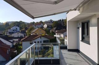 Wohnung mieten in Humboldtstraße, 74889 Sinsheim, Moderne 3-Zimmer-Wohnung mit Einbauküche und großer Dachterrasse in Sinsheim-Reihen