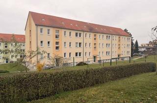 Wohnung mieten in 08451 Crimmitschau, Frisch renovierte 2-Raum-Wohnung im 1. OG – Bezugsfrei ab 01.05.2026!