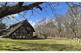 Haus kaufen in 19067 Dobin am See, PREIS GESENKT Traumhaus mit Wintergarten unterm Reetdach plus 2,8ha Wald dahinter