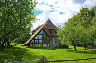 Haus kaufen in Ringstraße 8b, 19067 Dobin am See, Landhaus mit Wintergarten und viel Nebengelaß wahlweise mit 2,8ha Wald dahinter