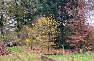 Doppelhaushälfte kaufen in 16556 Hohen Neuendorf, Doppelhaushälfte mit 120m² Wohnfl auf 741qm Grundstück mit Privatsphäre - 950m zum S-Bhf. Borgsdorf