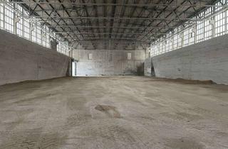 Gewerbeimmobilie mieten in Mühlberger Straße 37, 04874 Belgern, 1.500 m² große Halle - ideal für Schüttgut - in 04874 Belgern-Schildau