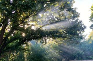 Grundstück zu kaufen in 65191 Bierstadt, Sonniges, großzügiges Garten-Freizeitgrundstück in ruhiger Lage von Wiesbaden-Bierstadt