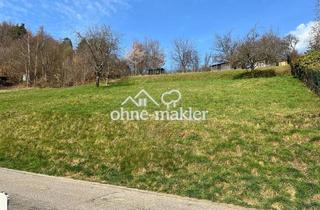 Immobilie kaufen in 69250 Schönau, 731 m² großes, attraktives und vollerschlossenes Grundstück Schönau - ohne Maklerprovision