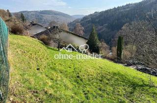 Immobilie kaufen in 69250 Schönau, 731 m² großes, attraktives und vollerschlossenes Grundstück Schönau - ohne Maklerprovision