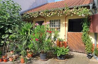 Einfamilienhaus kaufen in 55234 Bechtolsheim, Bechtolsheim - Einfamilienhaus mit Dreiseitenhof