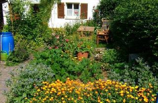 Doppelhaushälfte kaufen in 73479 Ellwangen, Ellwangen (Jagst) - Kleines Haus mit Garten in Ellwangen